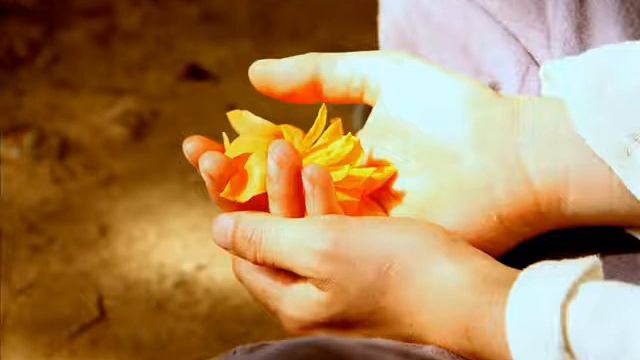 Heavenly mantra by Ananda Vardhan(Andrew Freedman) смотреть онлайн