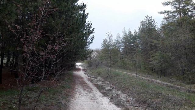 Несите свой крест с достоинством глубокого покаяния предо Мной смотреть онлайн