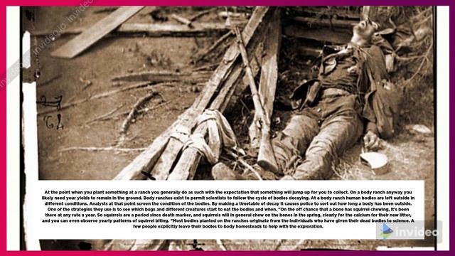 Dead Body Has a Farm .? 5 Strange Farms around the world - Discover Logo смотреть онлайн