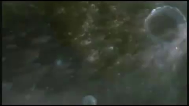 Сокрытие NASA - Восход Луны смотреть онлайн