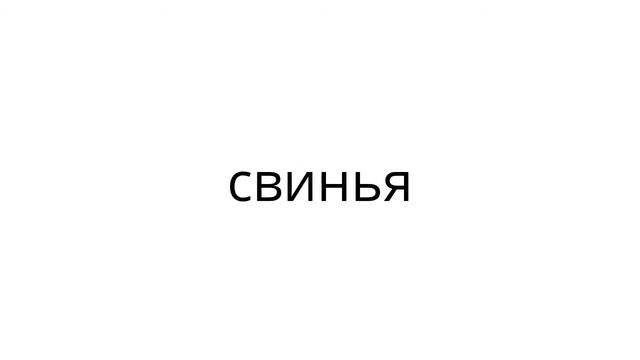 Квизон 21. Сколько весит [1] смотреть онлайн