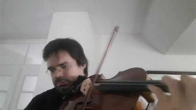Beethoven 5. Symphony 1. Satz , Transcription For Solo Viola By David Tebbe