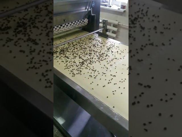 Автоматический подсыпатель теста шоколодной крошкой, дропсами, кэробом от ЛАККК ООО МЕХАНИЗМЫ смотреть онлайн