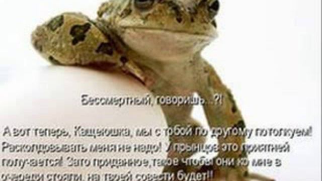 571 онлайн видео приколы +про животных смотреть онлайн