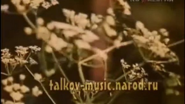 Wildflowers, Ludmila Senchina, English subtitles