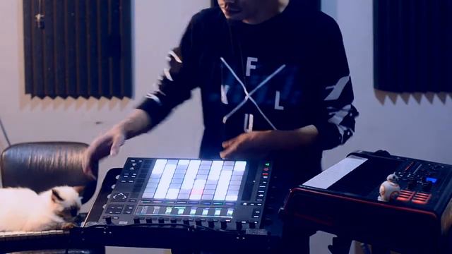 The Box (Orbital) - Torma performance with Push 2, Ableton Live & Impulse смотреть онлайн