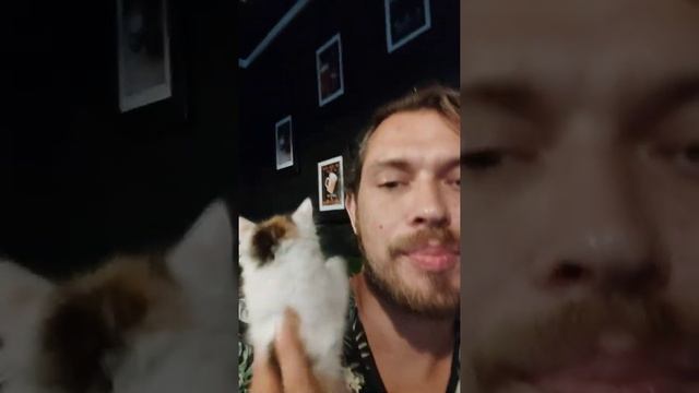 Топ High Five сервер смотреть онлайн