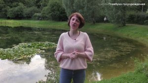 Поступление. Ответ 2