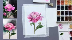 ПИОН АКВАРЕЛЬЮ