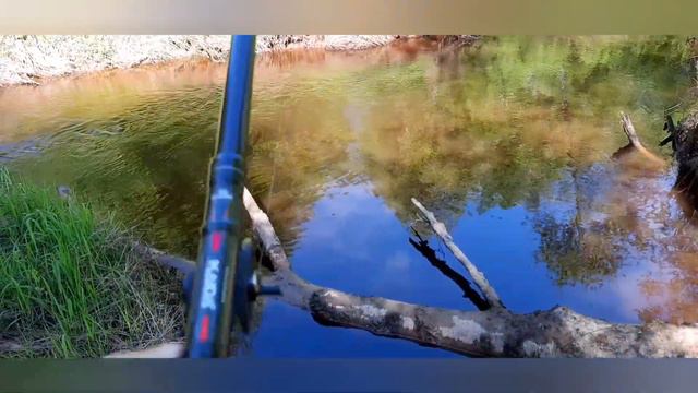 Ловим сорогу,окуня,язят.