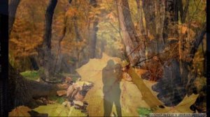 А. Петров    песня из кф "Служебный роман"