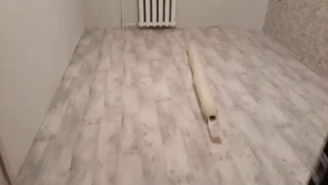 Строительный Квест