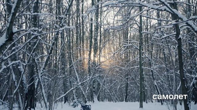 Пятницкие Луга / Все о проекте смотреть онлайн