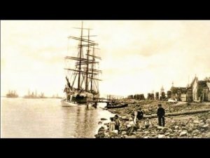 ▶️ Странное существо перевозили на пропавшем корабле