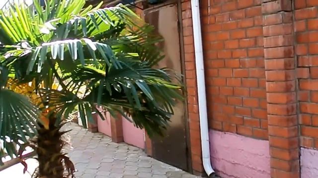 Бирюзовая улица у самого синего Черного моря, апрель в Лазаревском смотреть онлайн