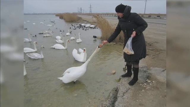 Крестная родная смотреть онлайн