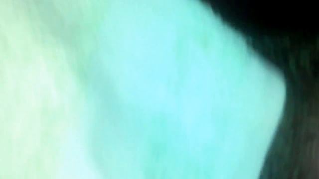 В квартиру залетела летучая мышь смотреть онлайн