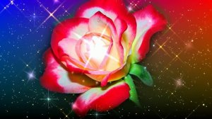 Футаж. Цветочный фон 59