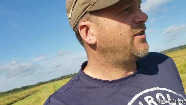 John Deere 2320 SWATHING CANOLA 19 смотреть онлайн