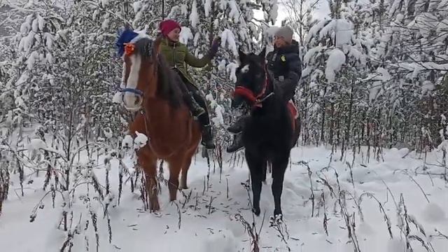 Новый год наступил! смотреть онлайн