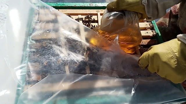 Дрожжи ПЧЁЛАМ ! Подкормка пчёл дрожжами весной пропорции ! Ускоряем развитие пчелосемей ! смотреть онлайн