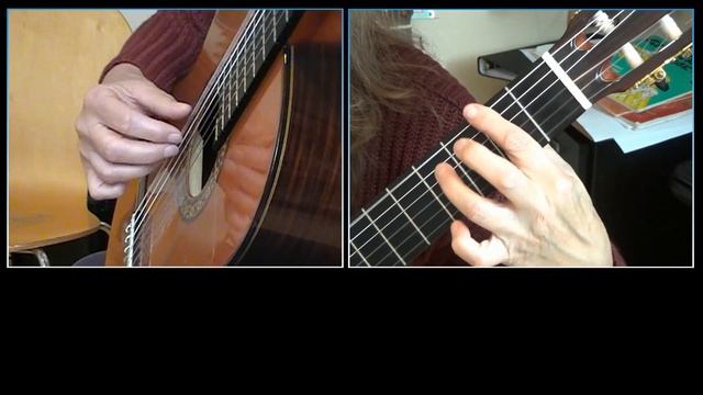 Aardster (Earthstar) - Sylvia Molenberg, blues in E, with slices смотреть онлайн