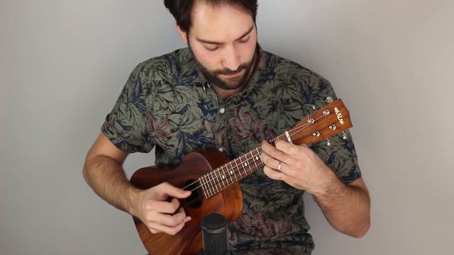 Adrian Bloom – Journey Home (ukulele Fingerstyle)
