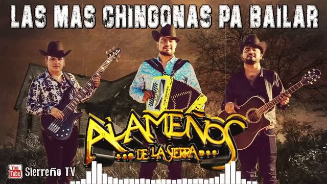 Los Alameños de La Sierra ~ Las Mas Chingonas Pa Bailar ~ 100% Cumbias Sierreñas смотреть онлайн