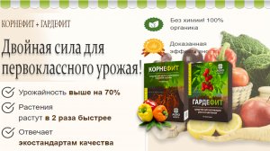Двойная сила для первоклассного урожая Корнефит + Гардефит для активации роста и укрепления растений