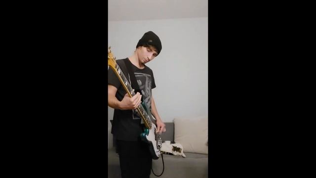 Helmet - In The Meantime (Bass Cover) смотреть онлайн