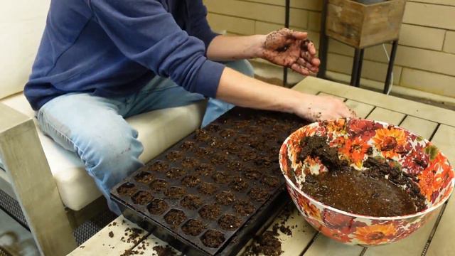 Starting Tomato Seeds!! смотреть онлайн