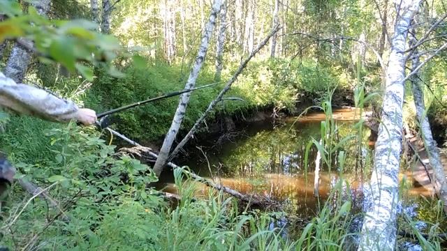 Мопед с коляской. Выезд в лес. смотреть онлайн