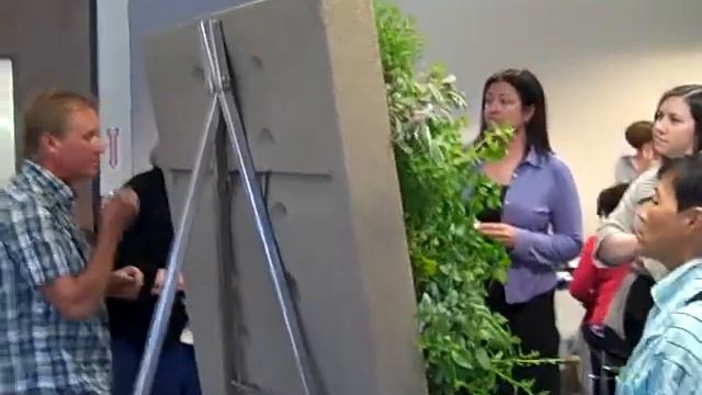 The Wall Garden смотреть онлайн