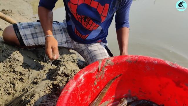 Best Eel Fishing |Crazy Boy Catching Yellow Monster Eel Fish From Under Deep Mud смотреть онлайн