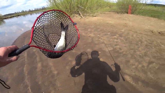 Жерех на Savage Gear 3D Jig Minnow 8gr смотреть онлайн