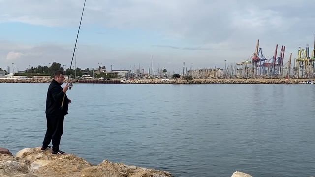 Море. Рыбный рынок. Как приготовить осьминогов мягкими и сочными. смотреть онлайн