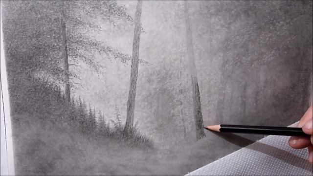 How to Draw Trees, Misty Forest Landscape Drawing in Graphite Powder смотреть онлайн