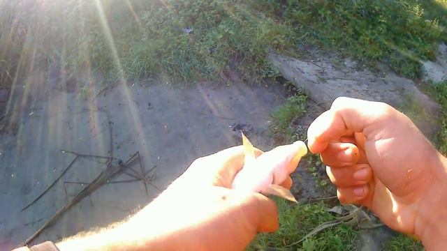 рыбалка на фидер осенью 2018!fishing on the feeder in autumn 2018 смотреть онлайн