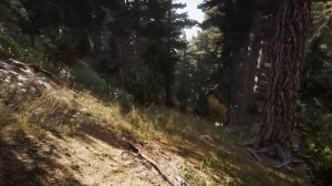 Дата смерти . Если знать дату смерти.