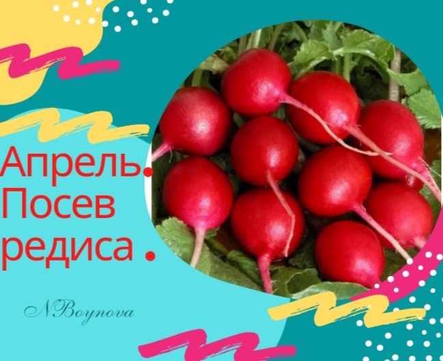Апрель. Посев редиса. смотреть онлайн