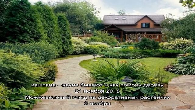 Как избавиться от медведки народными способами, не применяя химию смотреть онлайн