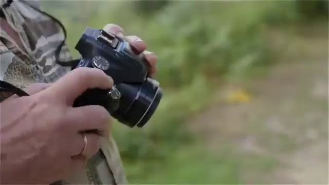 Panasonic LUMIX DMC-FZ72 Digital Camera смотреть онлайн
