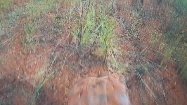 МИХАЛЫЧ и ПОСЛЕДНЯЯ КАНИСТРА БЕНЗИНА смотреть онлайн