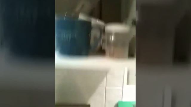 Lelit PL41em Espresso