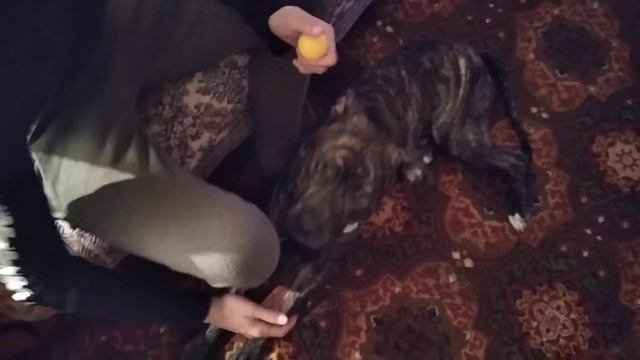 Позитивчик на ночь глядя смотреть онлайн