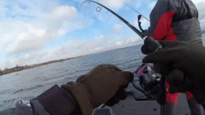 Силикон или поролон? Какие приманки лучше работали на тренировках Pro Anglers League на Чебоксарке.