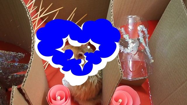 Лабиринт в форме Сердца ? для Хомяков. Гонки хомяков. смотреть онлайн