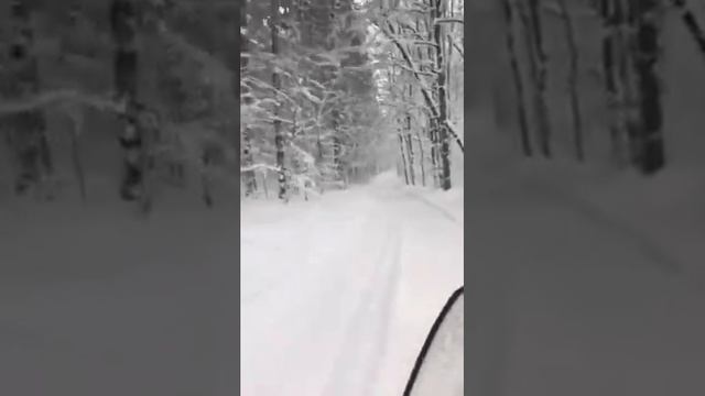 Ski Doo Expedition 1200, morning ride through the snow covered woods of Harbor Springs, MI смотреть онлайн