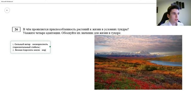 BioFamily: Растения в тундре за 5 минут (ДОСРОК 2020)