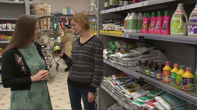 У!Дача. Выясняем, как лучше проращивать семена. Советы любителей и профессионалов. 12.02.2019 смотреть онлайн